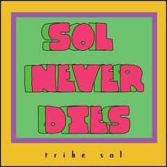Jill Scott Cover- Sol Never Dies