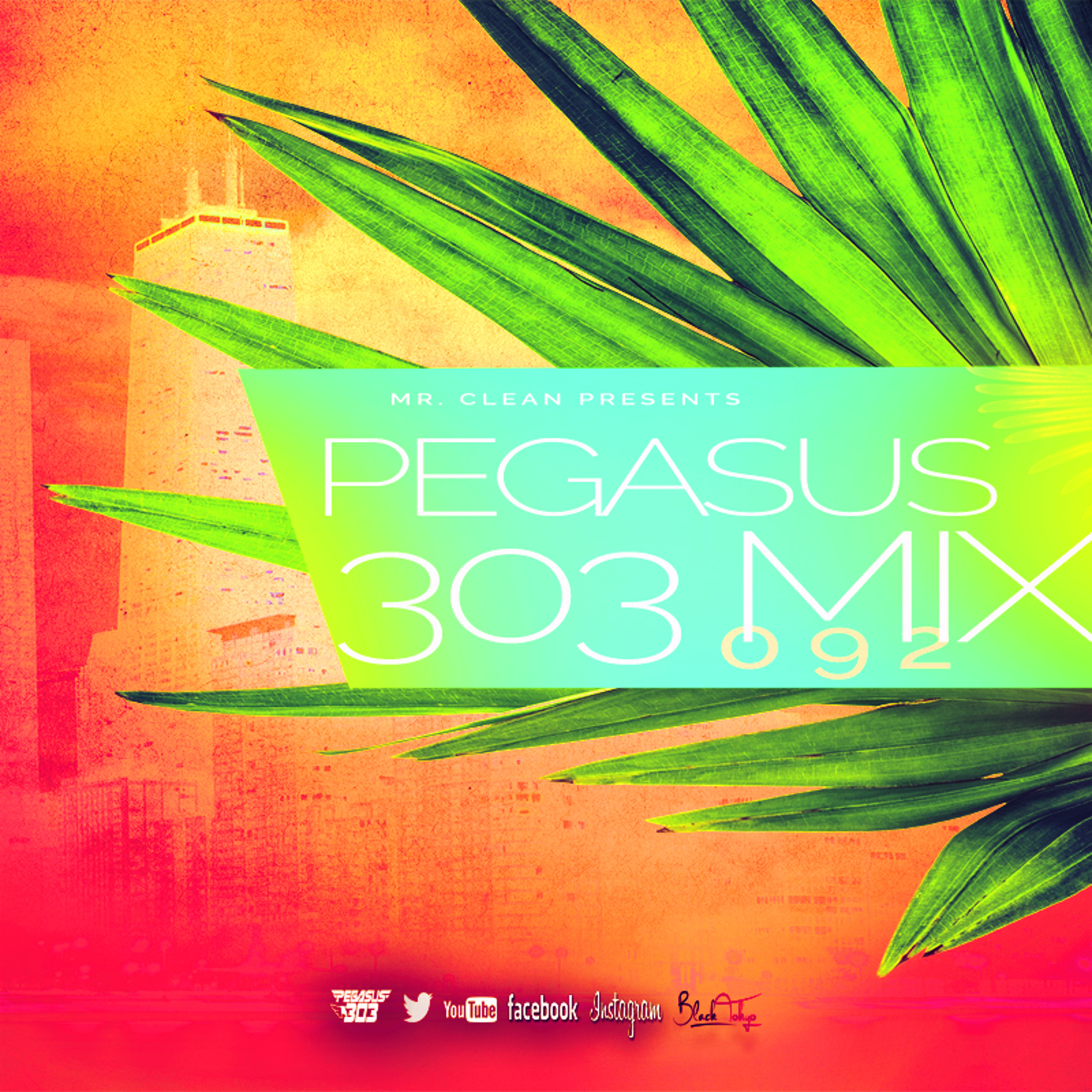 Pegasus 303 (mrclean)