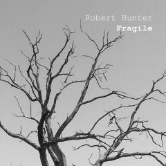Fragile [Radio Edit]