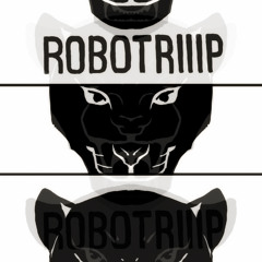 ROBOTRIIIP- Live At Infected Frequencies BBQ Part.4