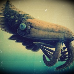 Keep Prepared For The Battle