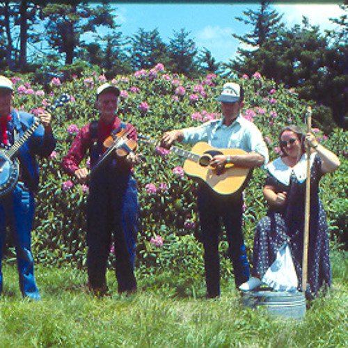 Stream Roan Mountain Hilltoppers Cumberland Gap by Adam Smith Listen online for free on