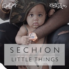Little Things (prod. by DJ Robotnik 5000)