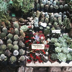 Like I'm Going To Lose You (Meghan Trainor ft John Legend Cover)