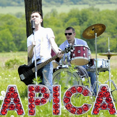 Apica