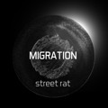 Street&#x20;Rat Homeostasis Artwork