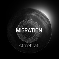 Street Rat - Homeostasis
