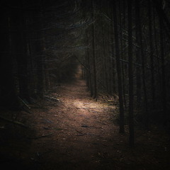 Cenote - Through The Woods -(Original Mix) - DL AVAILABLE