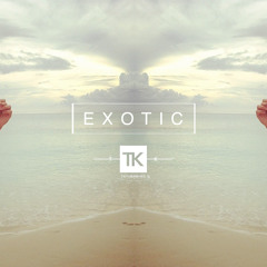 Drake / Wiz Khalifa Type Beat - "Exotic" [Prod. By TK]