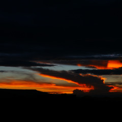 (inedito) Science Prod.