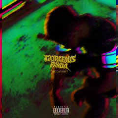 Gorgeous Panda's Big Day Out