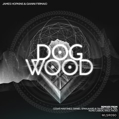 James Hopkins & Gianni Firmaio - Dubbed (Original Mix)