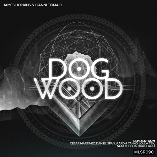 James Hopkins & Gianni Firmaio - Dubbed (Raul Facio Remix)