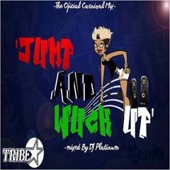Carnival mix jump and wuck up August 23, 2015