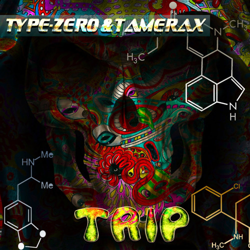 Type - ZERO Vs Tamerax - Trip (Type - ZERO Hard Mix)