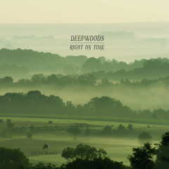 DeepWoods - "Right On Time" EP preview (Out now on Deep Electronics)