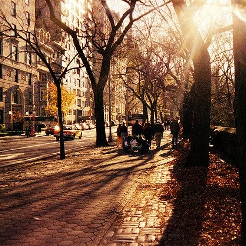 purpan.x.bad.summer. - autumn.