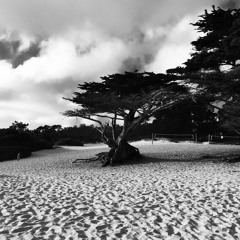 Carmel