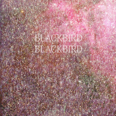 blackbird blackbird - pure (chemtrails remix) [FREE]