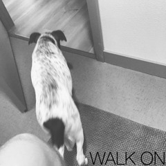 Walk On (Neil Young)