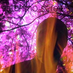 ELJAY - Envisage (Satchmo Screws FS Edit)