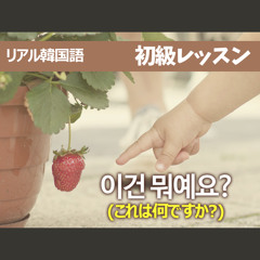 【初級02】 이건 뭐예요? (これは何ですか?)