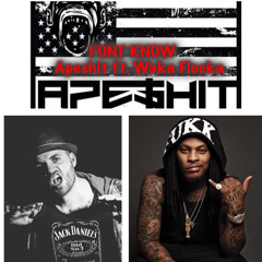 Apeshit-  I'ont Know  Ft Waka Flocka