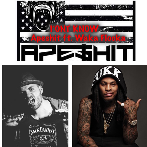 Apeshit-  I'ont Know  Ft Waka Flocka