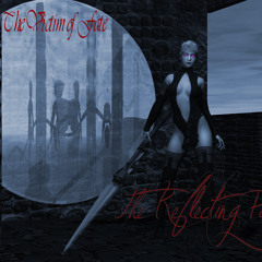 The Cynical Misanthrope