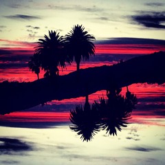 Teebs X Young Magic (ChrisPaul Remix)