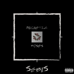 SebaS - Agua