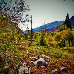 Something Strange Just Happened ft. Kurtis Jones