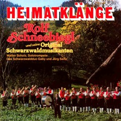 SCHWARZWALDMUSIKANTEN-MARSCH (Rolf Schneebiegl)