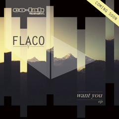 Flaco - El Raton - Co-Lab