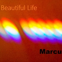 Beautiful Life