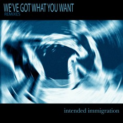 Intended Immigration - WGWYW (Wolfgang Lohr Remix)