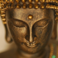 1. Beyond Mindfulness - The Loving Gaze