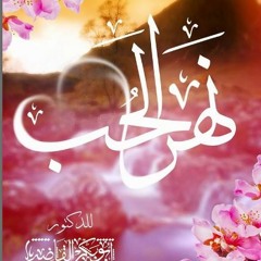 نهر الحب - شرح مدارج السالكين 39 - د ابو بكر القاضي