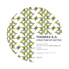 Thomas A.S. - Structure Of Matter (Monkey Coops Remix)