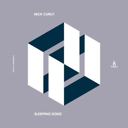 Nick Curly - Deep In My Soul - Truesoul - TRUE1266