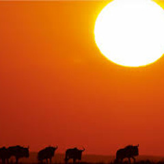 Aavikon Auringon Alla (originaali Versio)