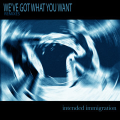 We've Got What You Want (Radio Edit) by Intended Immigration [Edit]