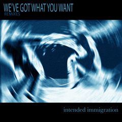 We've Got What You Want (Dub Swing Mix) by Intended Immigration [Edit]