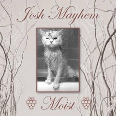 Josh Mayhem - Moist FullMix