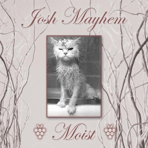 Josh Mayhem - Moist FullMix