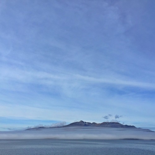 SILENT SHORES, for string quartet | The Edinburgh Quartet | 2015