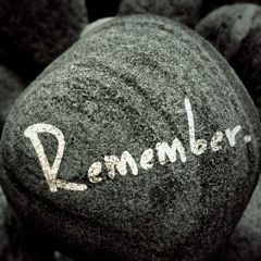 Remember (Protocat Remix)