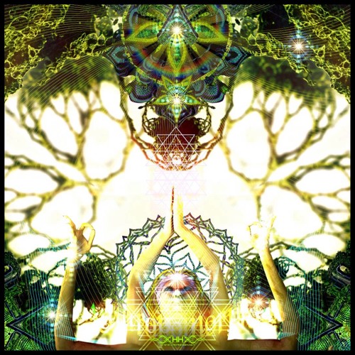 Entheogenic - Planetary Medicine
