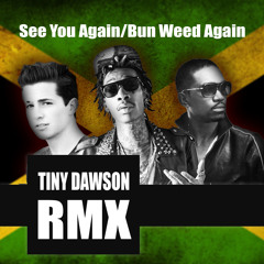 Busy Signal, Wiz Khalifa & Charlie Puth - Bun Weed Again [Tiny Dawson RMX] #FreeDownload
