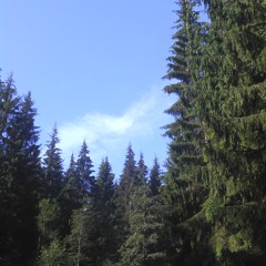 Paradise - III. The Laments of Dryad